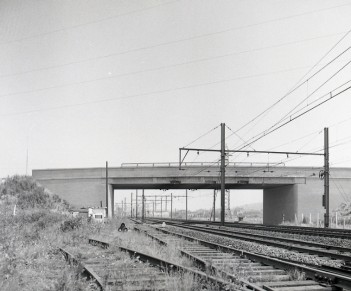 Forest-Midi - Z08156B (2).jpg